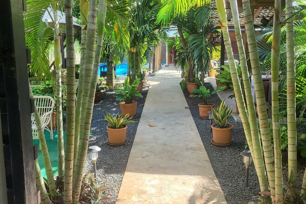 A pathway flanked by tall bamboo plants and potted plants, leading to a building with a tiled roof.