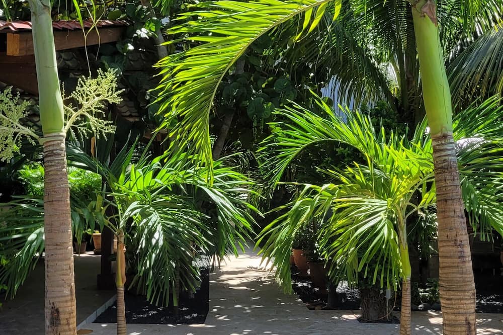 Green Oasis Hotel