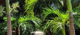 โรงแรมกรีนโอเอซิส