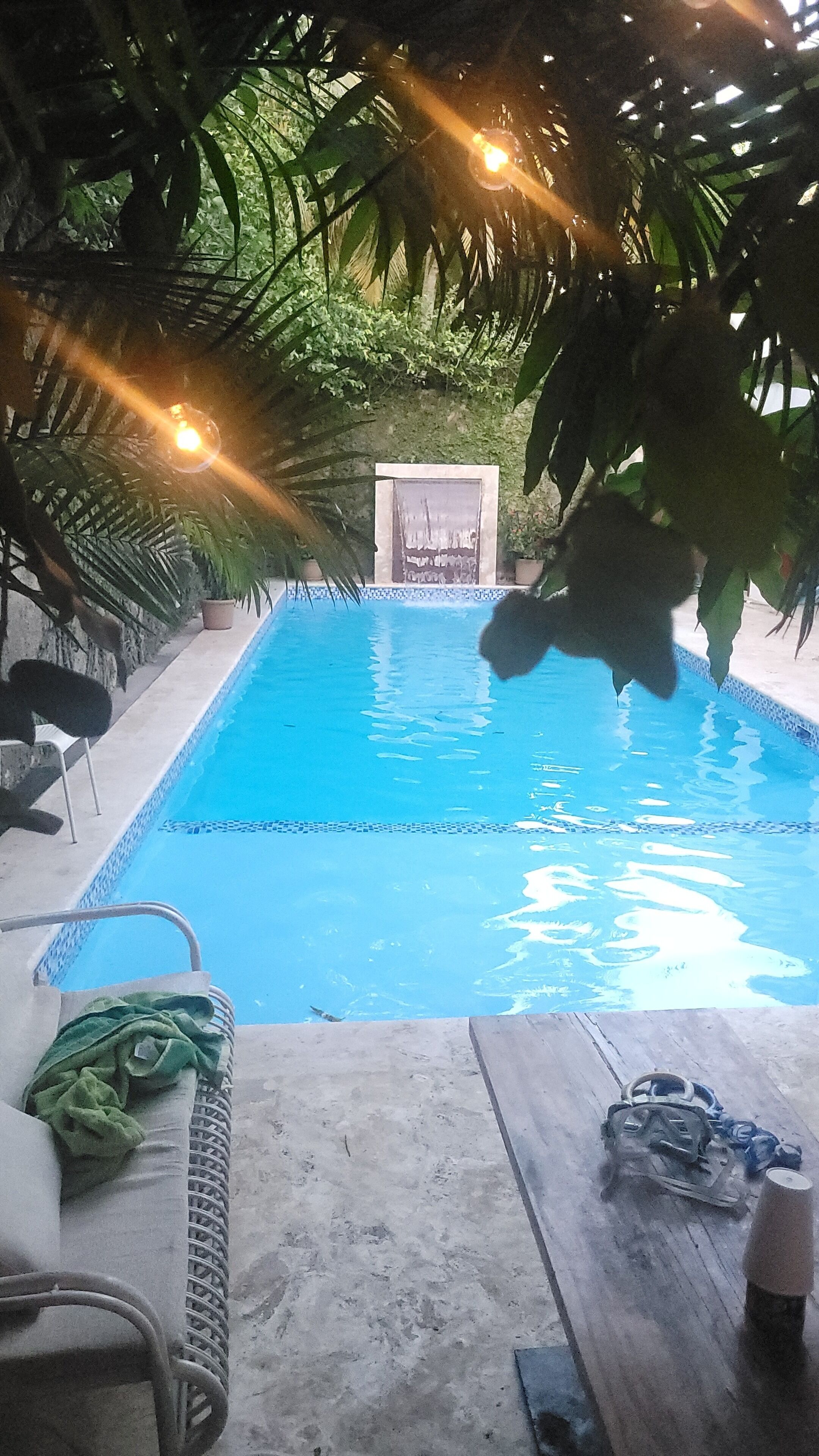A swimming pool with a tiled edge, surrounded by potted plants and a wooden deck.