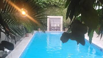 A swimming pool with a tiled edge, surrounded by potted plants and a wooden deck.