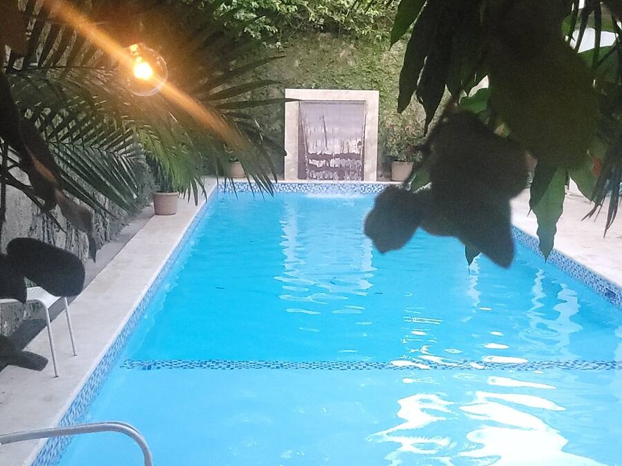 A swimming pool with a tiled edge, surrounded by potted plants and a wooden deck.