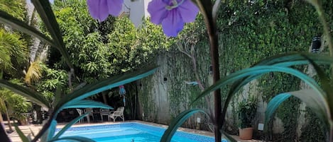 Kolam renang terbuka