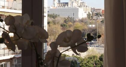 Apartamento exterior de una habitación en Madrid Río