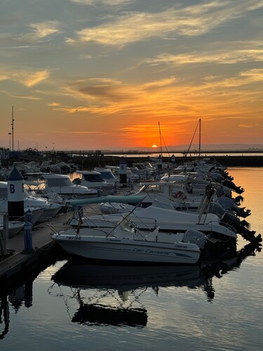 Great vacation home & sun terrace right by the sea
