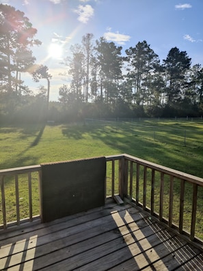 Property grounds - Family-friendly animal farm and homesteading haven. Close to the Gulf Beaches. (Wewahitchka)