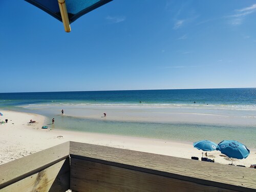 Family-friendly animal farm and homesteading haven. Close to the Gulf Beaches.