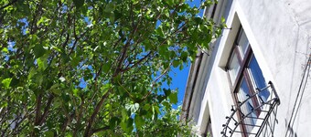 Apartament Buon Gusto Sibiu-near Small Square Old Town