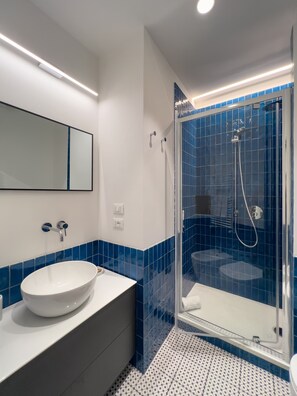 Shower, hair dryer, bidet, towels