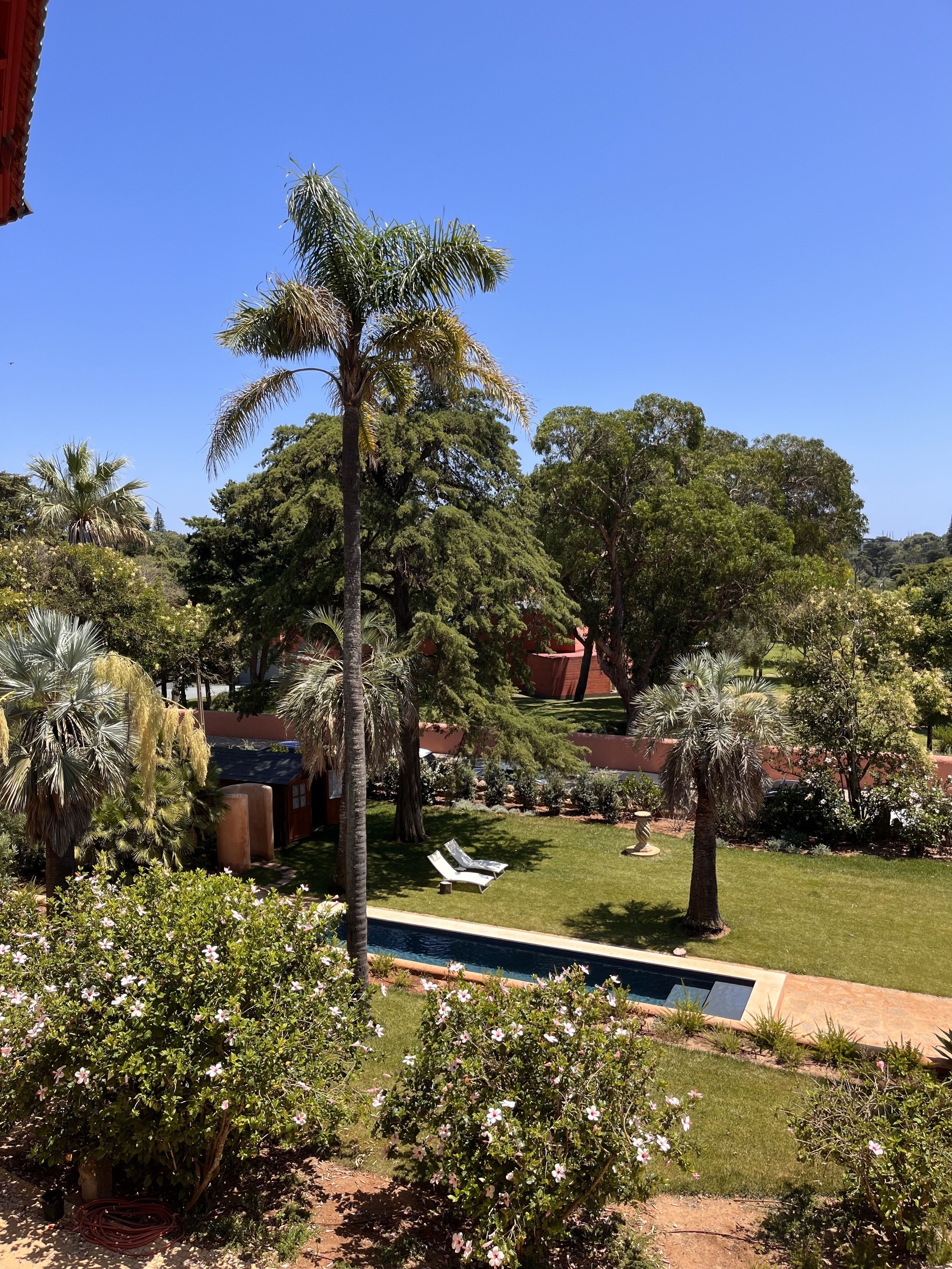 Photo - Chalet Ficalho