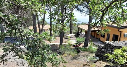 Mountain cottage with small private pine forest just minutes from Nicolosi