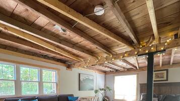 Smart TV, chimenea, libros