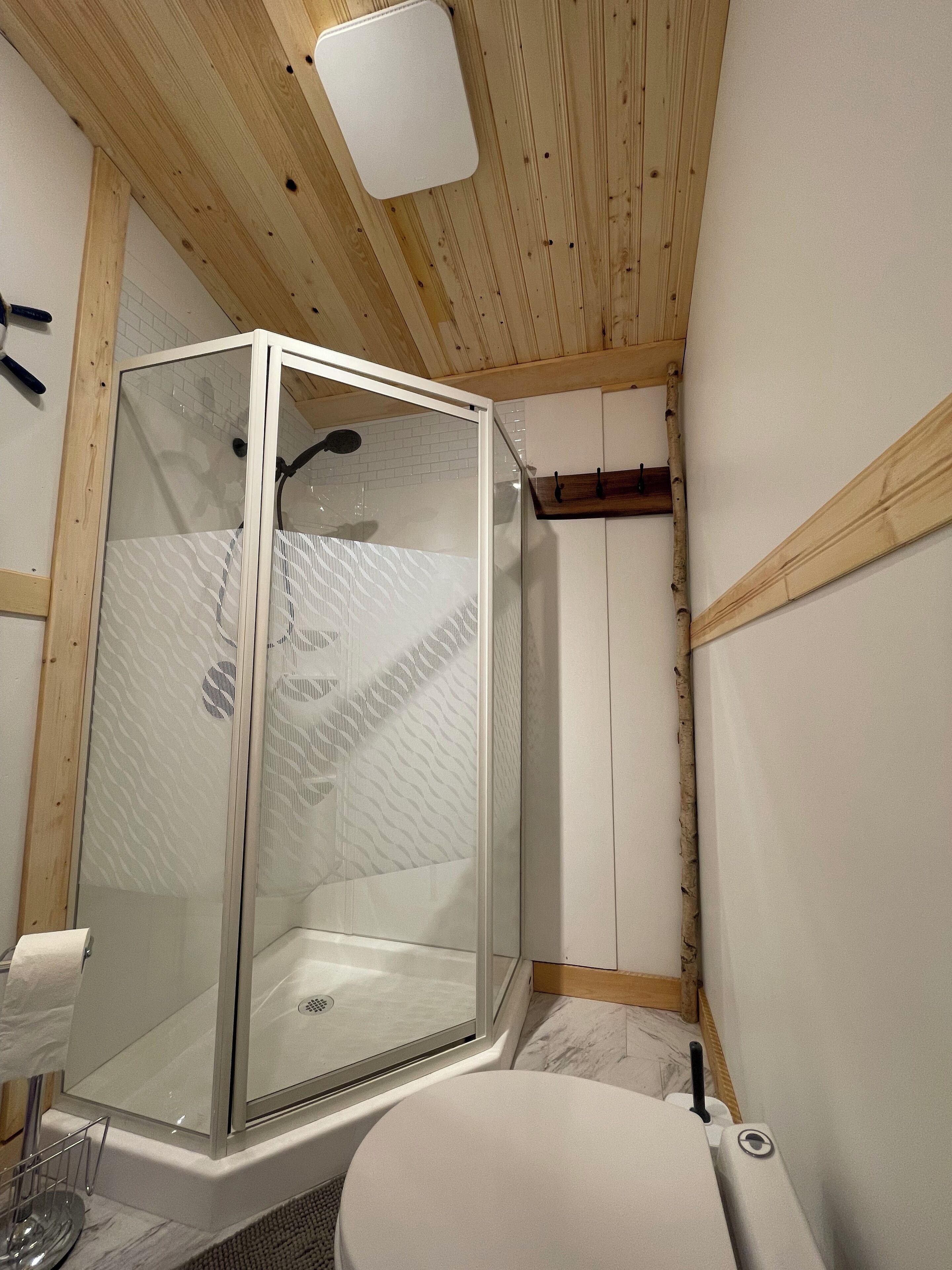 Shower, towels, soap, toilet paper