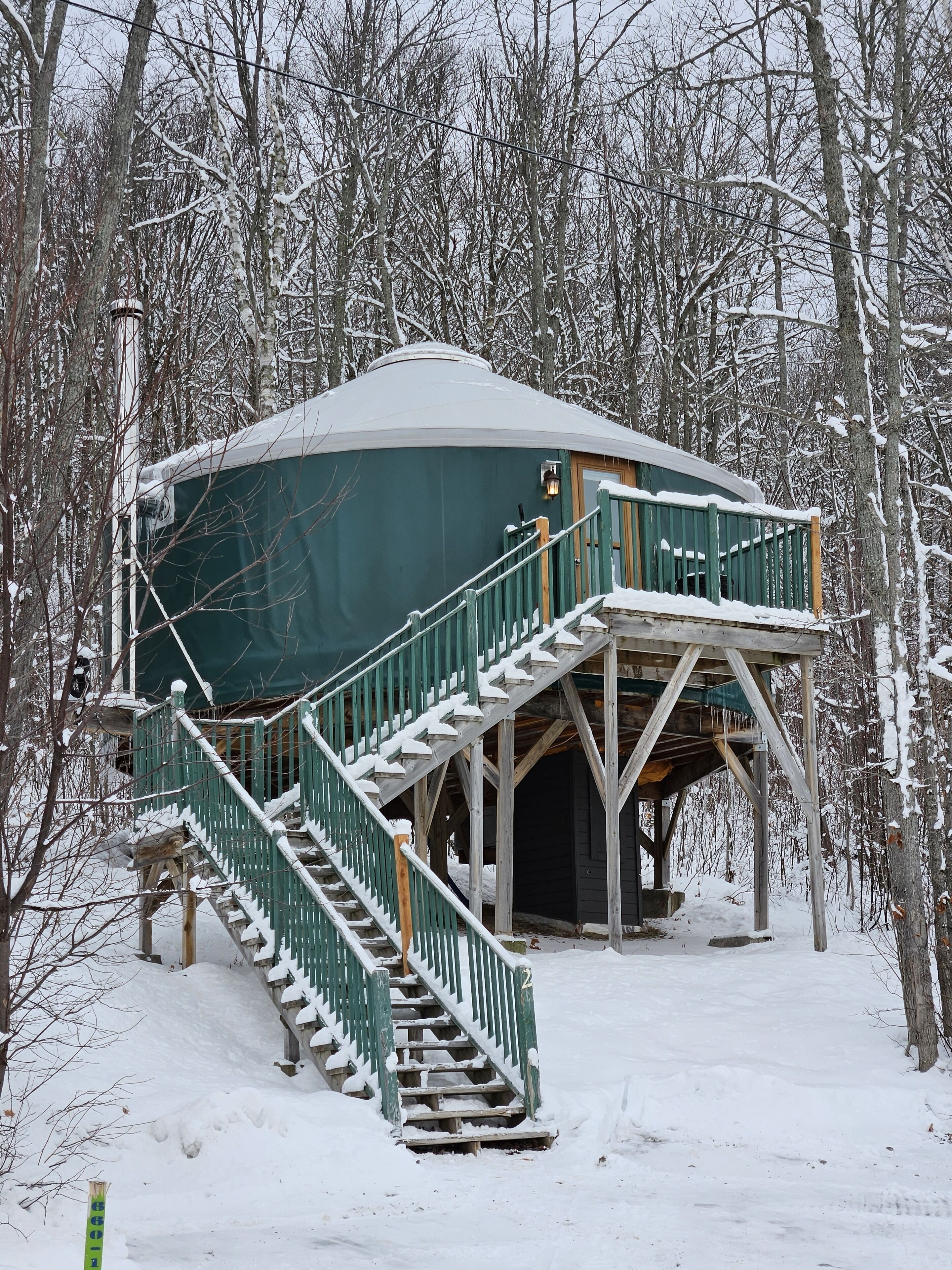 Deluxe boomhut | Voorkant van accommodatie