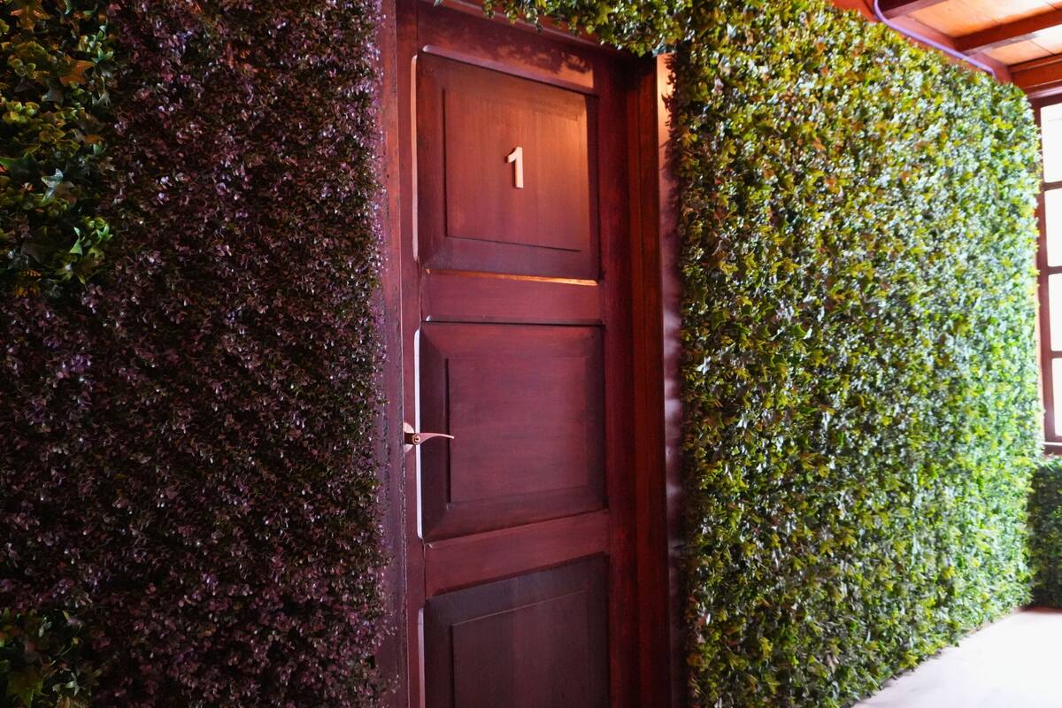 A wooden door with the number 1, surrounded by a wall of dense green foliage.