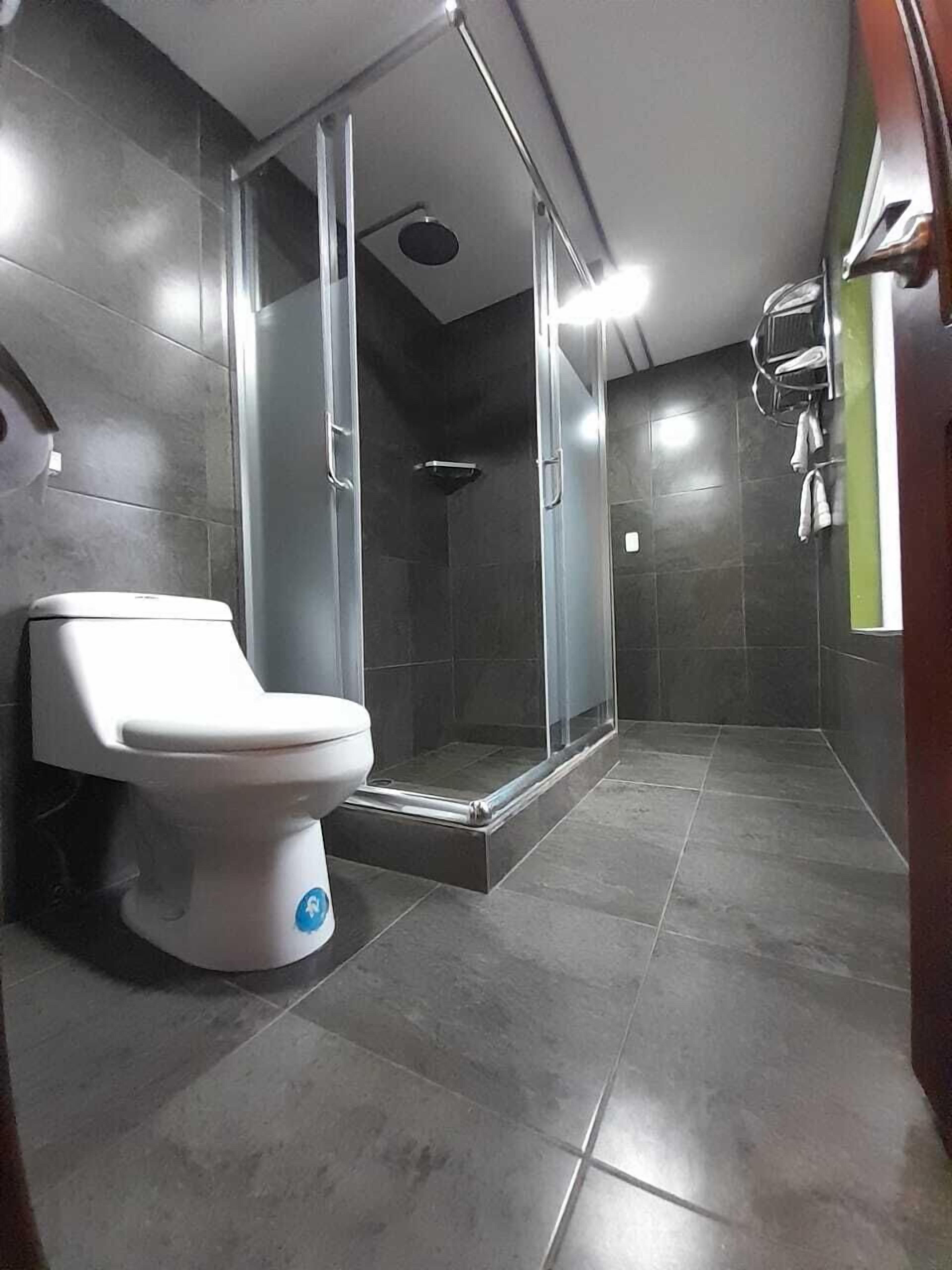 Ein modernes Badezimmer mit Toilette, einer gläsernen Dusche und dunkel gefliesten Wänden.