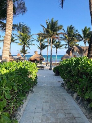 Una spiaggia nelle vicinanze