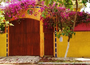 Exterior detail - Standard 1 bedroom suite #7
(San Patricio)