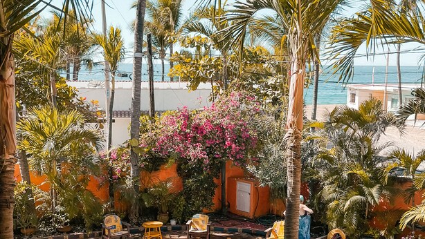 A pool surrounded by palm trees and a building with a red roof. - Standard 1 bedroom suite  #7
 (San Patricio)