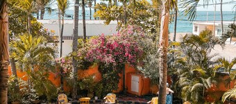 Standard 1 bedroom suite  #7
