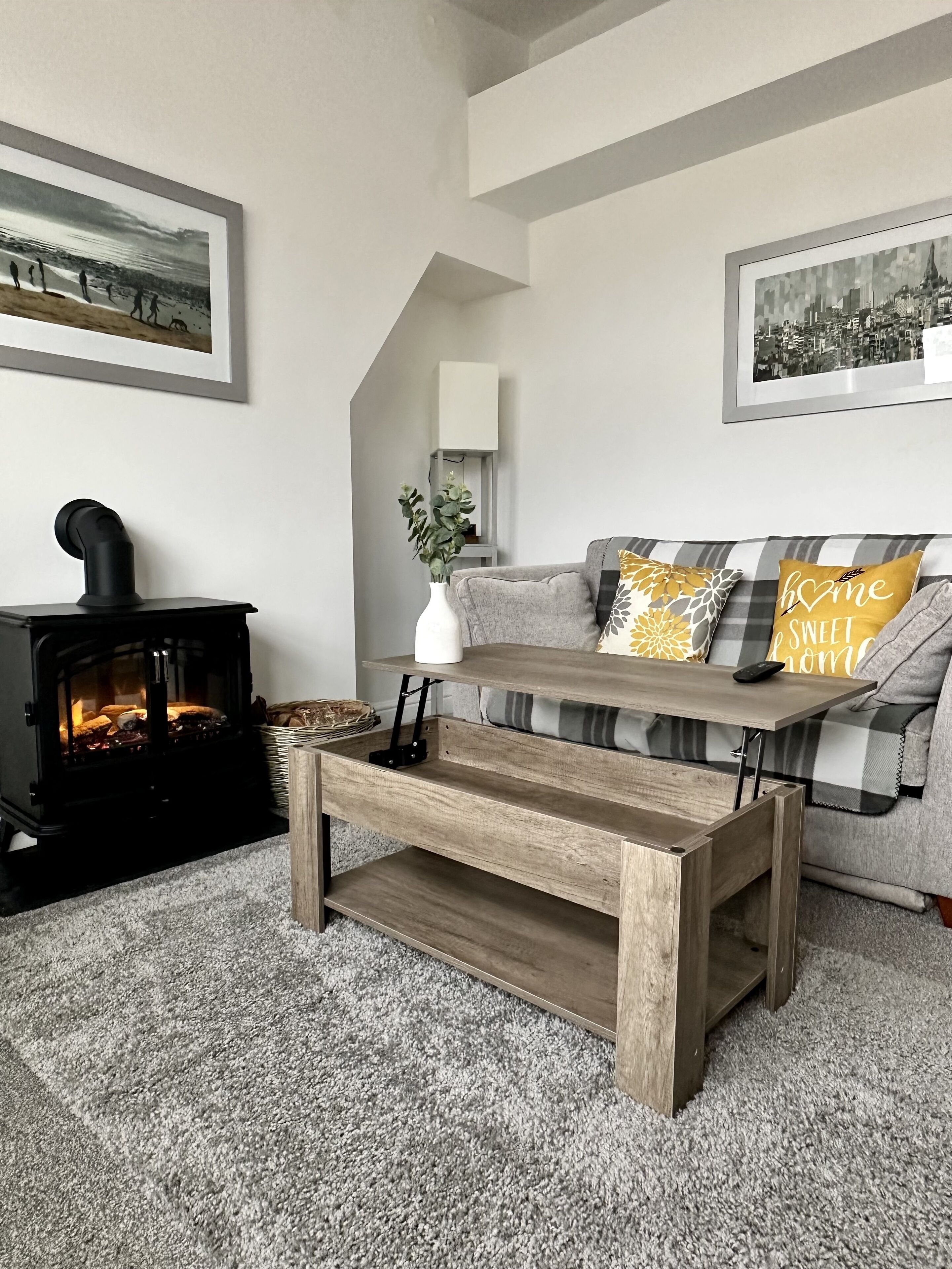 电视、壁炉、书