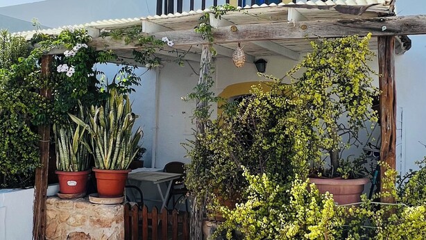 A building with a white exterior, a blue door, and a balcony with a black railing. There are potted plants and a wooden fence in the foreground. - Can Pep Tauet Formentera, al Centro de la Isla, muy Bien Comunicada (FORMENTERA)