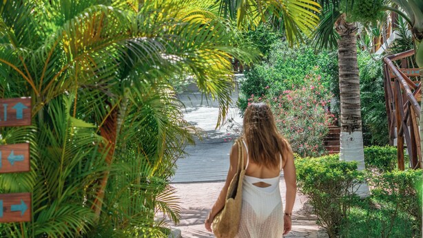 A pathway lined with lush greenery and palm trees, leading to a body of water. - Hotel Aldea 19 Bacalar (Bacalar)