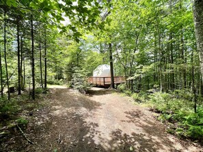 Parco della struttura