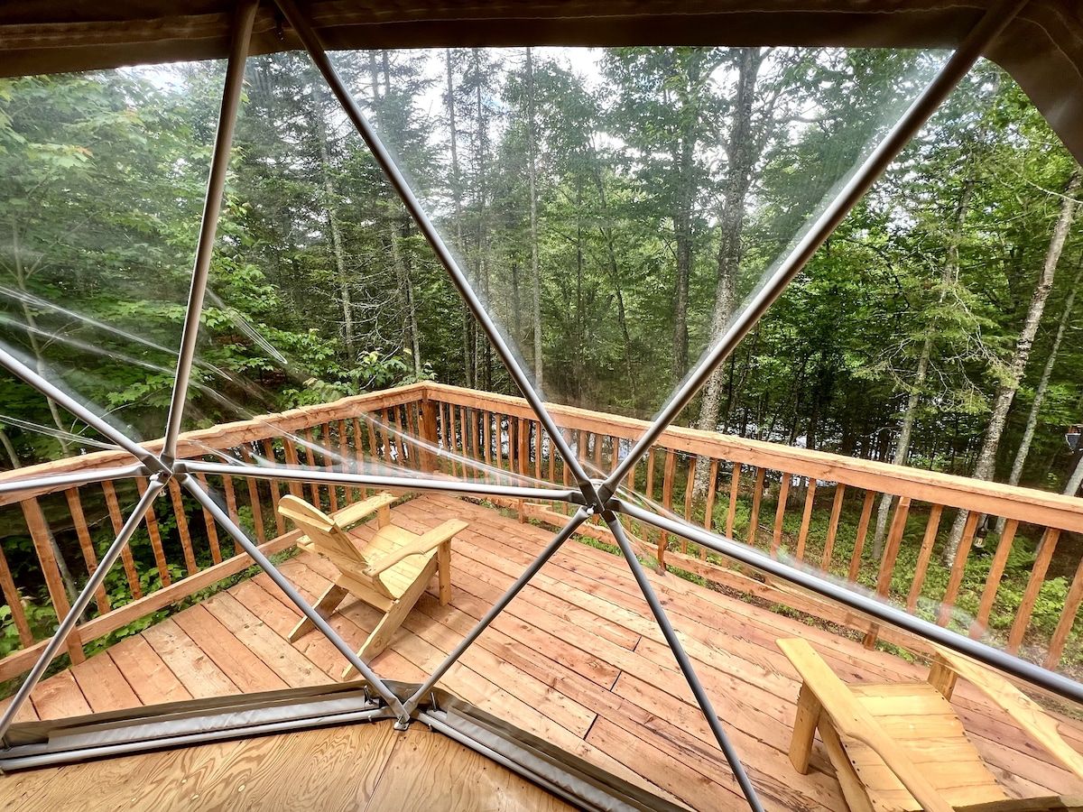 A wooden deck with metal railings, surrounded by a forest.