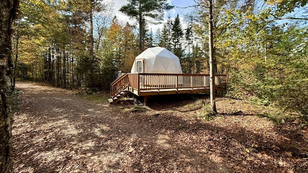 A forested campsite with a single tent on a wooden platform.