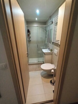 Hair dryer, towels, soap, shampoo
