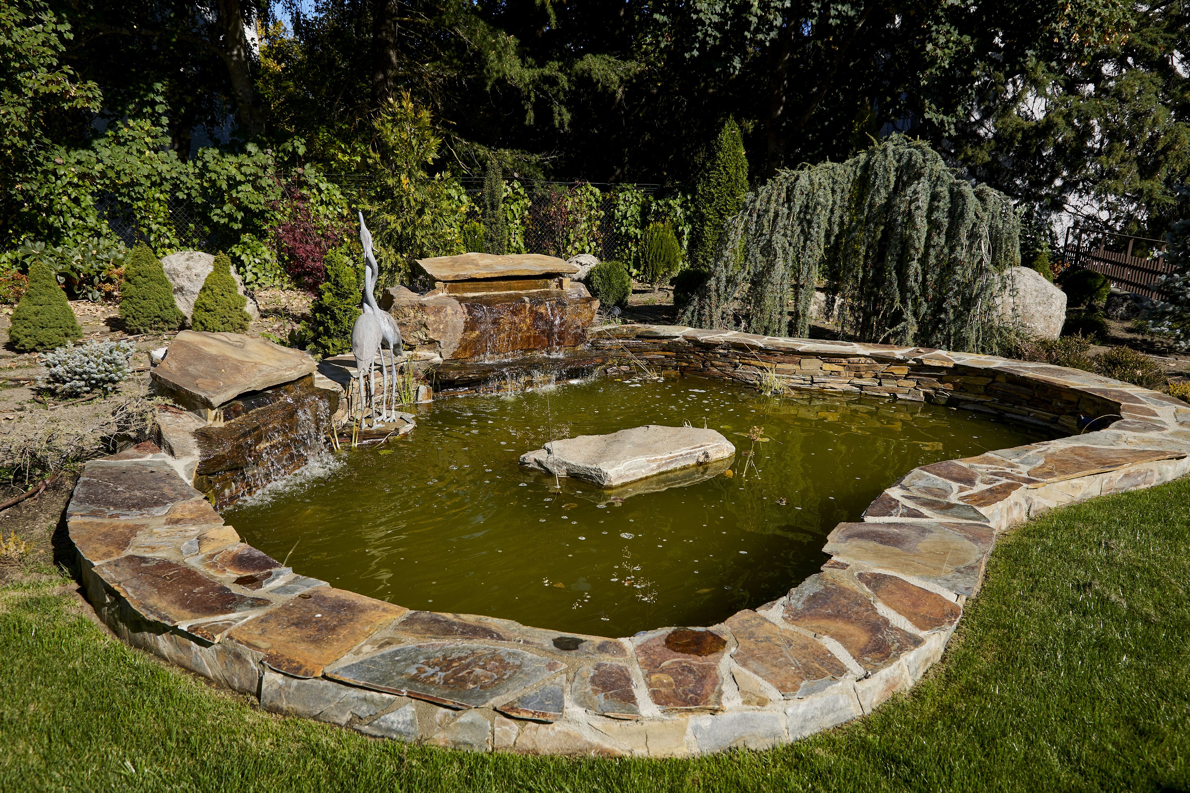 Photo - Hotel Boutique Gastronómico Los Rosales - Singular's Hotels