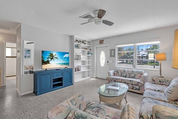 Smart TV, DVD player, books