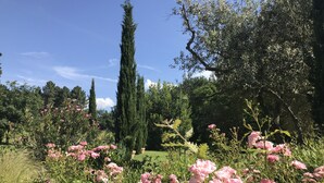 Un jardin où l’on trouve une variété de plantes et d’arbres, notamment de grands cyprès et des fleurs roses en pleine floraison.