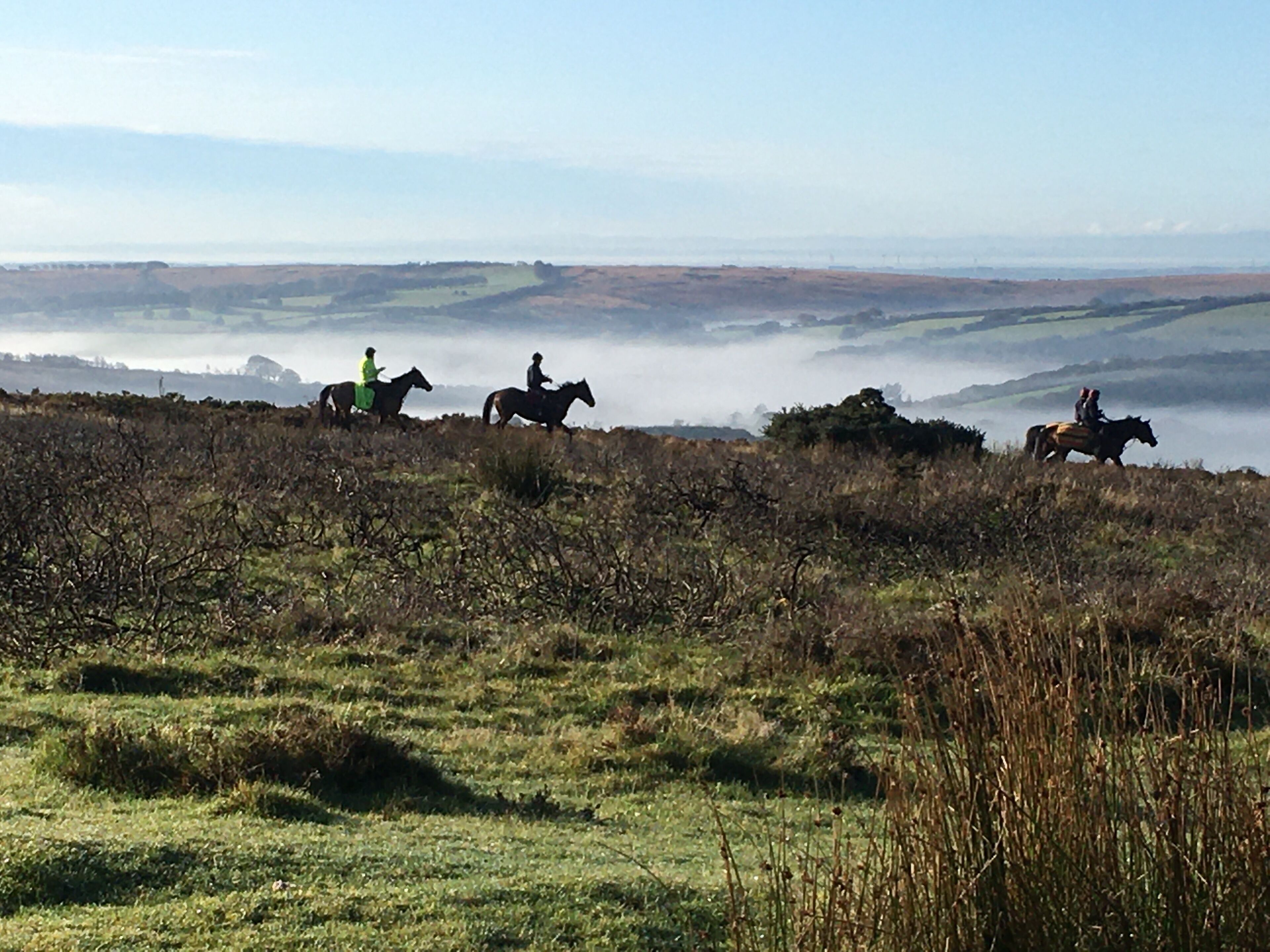 Un paisaje con tres jinetes a caballo, un campo cubierto de hierba y colinas al fondo.
