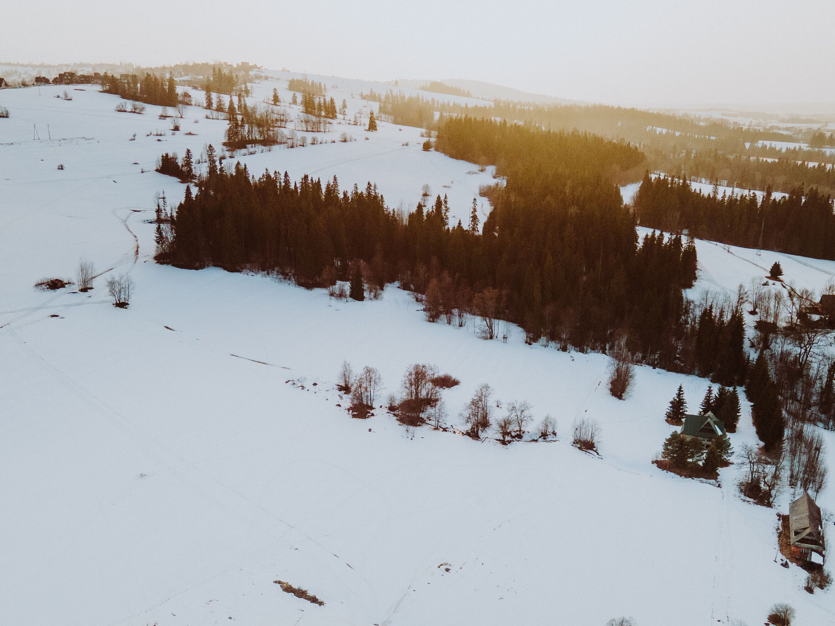 Un paysage enneigé avec une maison et des arbres.