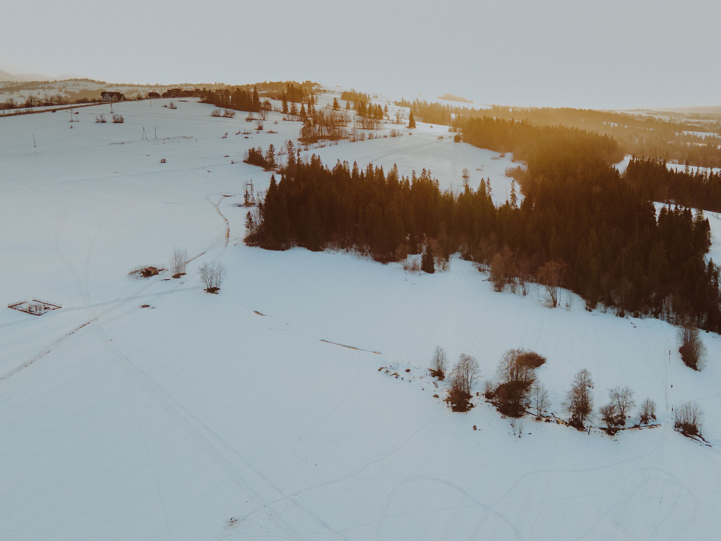 Un paysage enneigé avec une forêt et des champs à perte de vue.