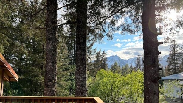 Un pontile in legno affacciato su una foresta con alberi alti e una catena montuosa sullo sfondo.