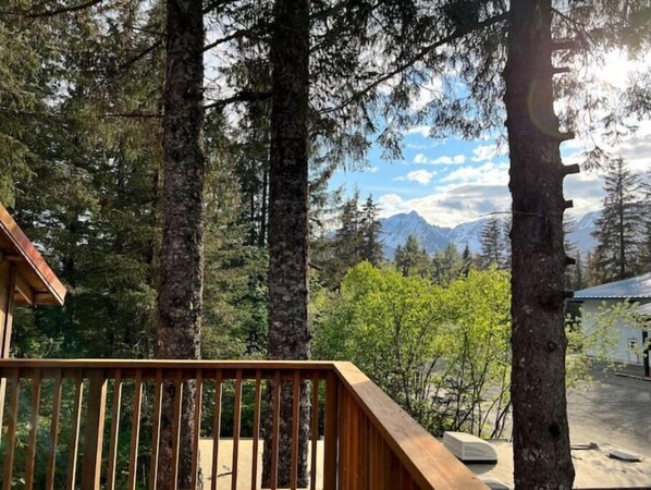 Property grounds - Eagles Nest & Mountain View (Seward)