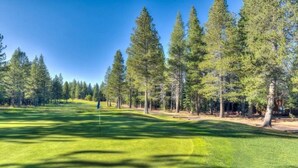 Un campo de golf con un camino despejado, rodeado de altos pinos y un cielo azul claro.