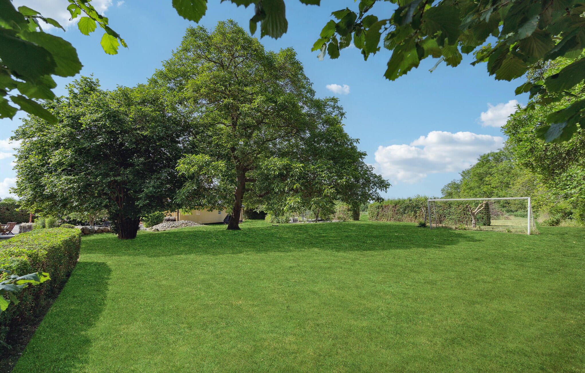 A well-maintained grassy area with a large tree, a goalpost, and a hedge.