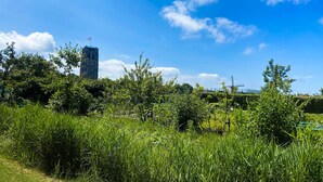 Een grasveld met een windmolen en een hoog gebouw op de achtergrond.