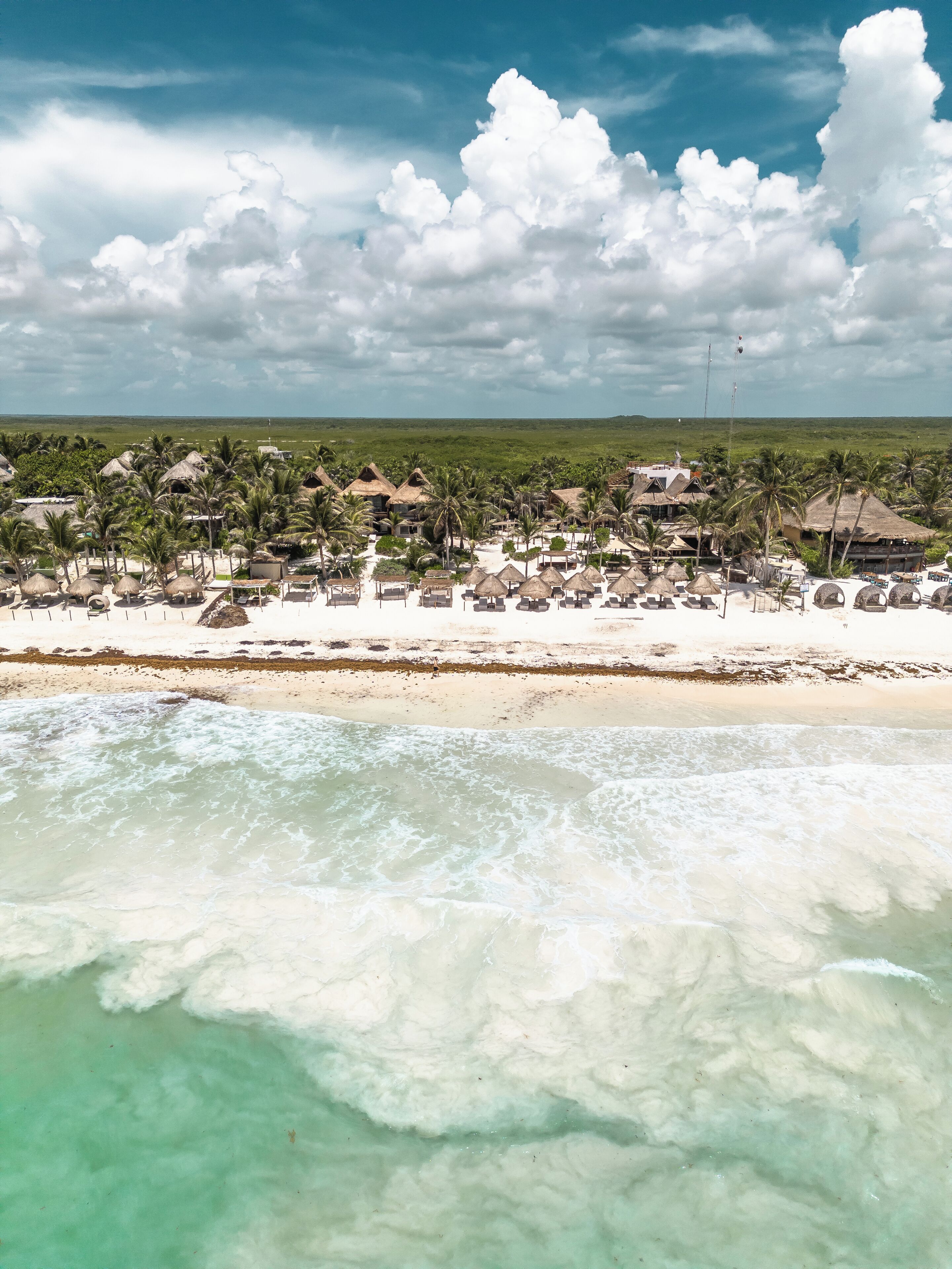 A beach resort with thatched-roof huts, palm trees, and a view of the ocean.
