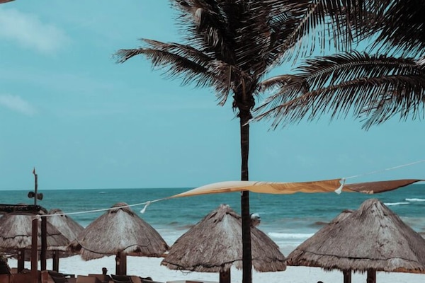 Playa privada, arena blanca y bar en la playa