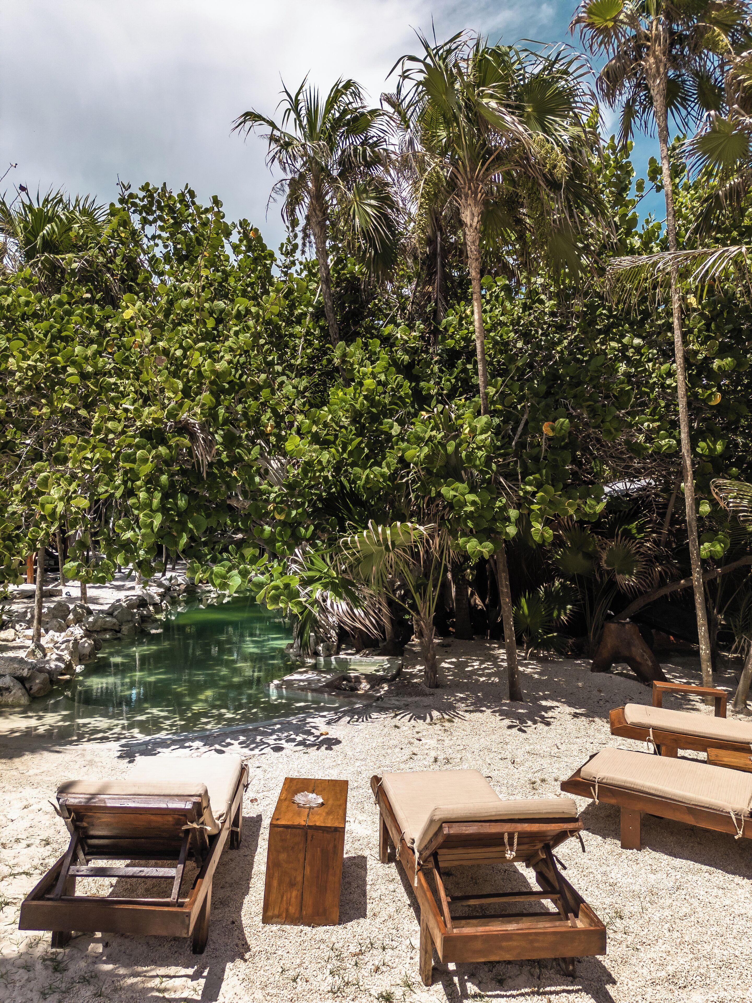 Una playa con sillas de madera para tomar el sol y una piscina rodeada de exuberante vegetación tropical.