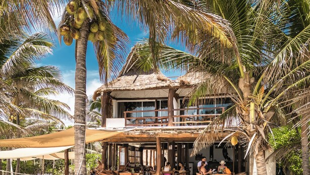 Un resort frente al mar con terraza y palmeras.