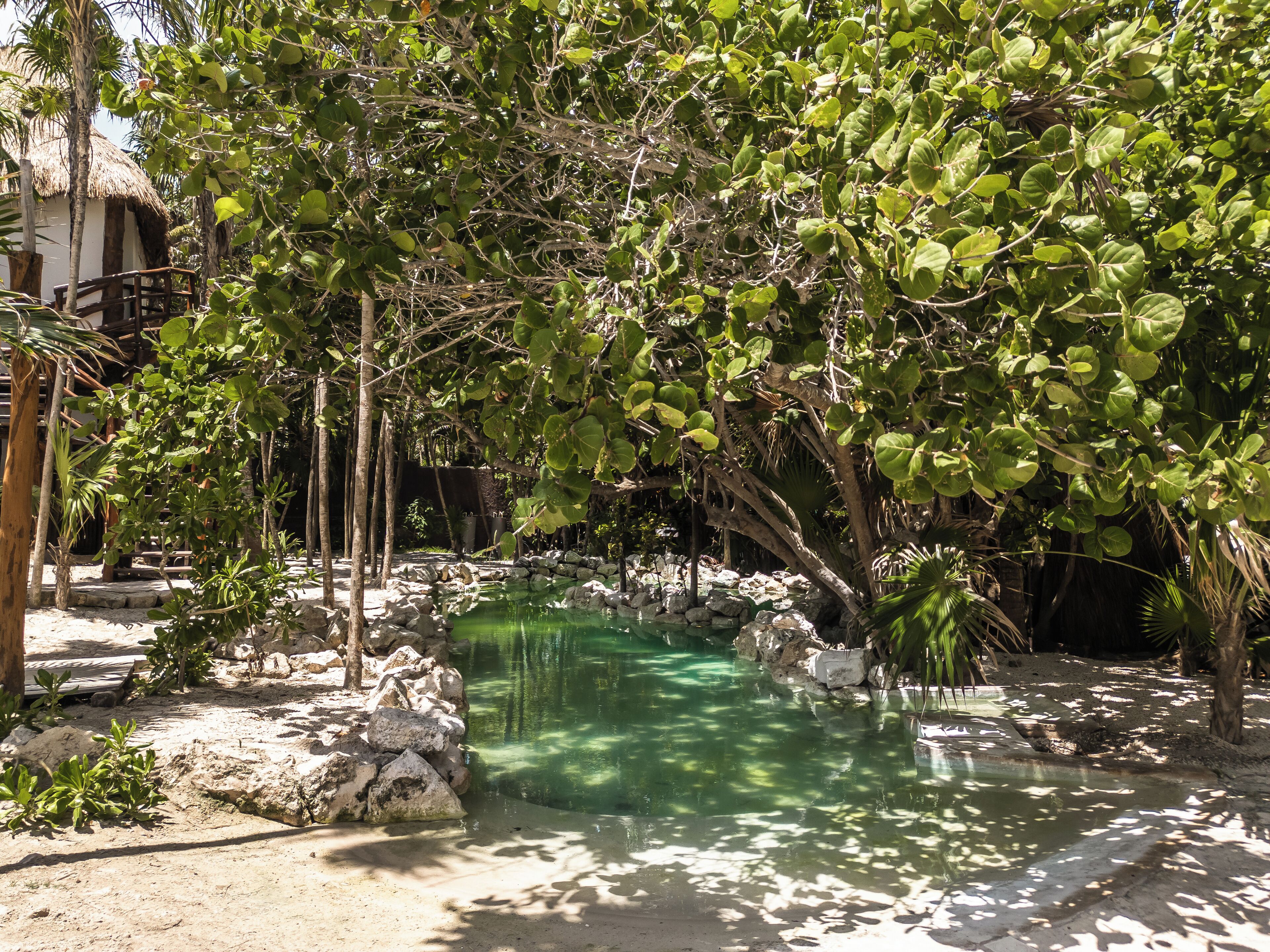 Foto - Niken Beachfront Tulum Hotel