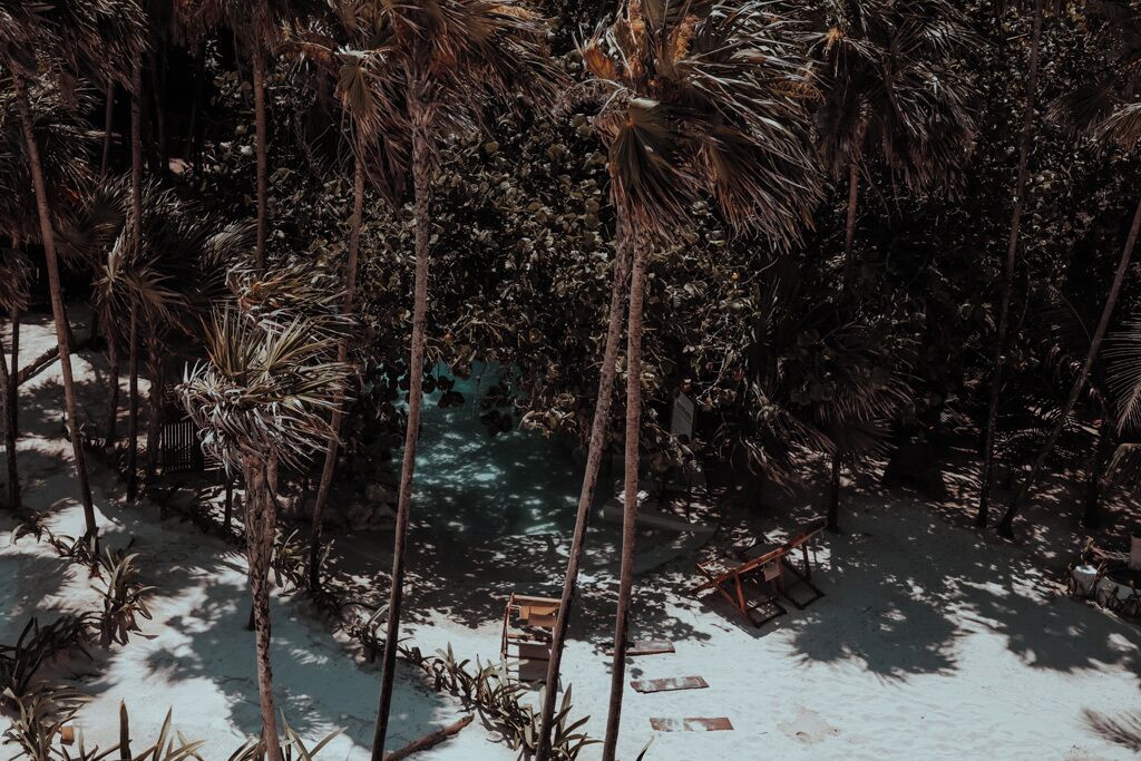A tropical resort with palm trees, a pool, and a wooden deck.