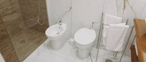 Shower, hair dryer, bidet, towels