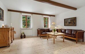 تلفزيون، مدفأة